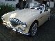 1989 Austin Healey  100 / REPRO GERMAN APPROVAL Cabrio / roadster Classic Vehicle photo 2