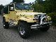 1991 Jeep  Wrangler YJ 4.0 4x4 green sticker Off-road Vehicle/Pickup Truck Used vehicle photo 1