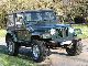 2000 Jeep  Wrangler 4.0 Sahara Off-road Vehicle/Pickup Truck Used vehicle photo 2