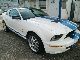 Ford  Shelby Mustang GT 500. 2008 Used vehicle photo