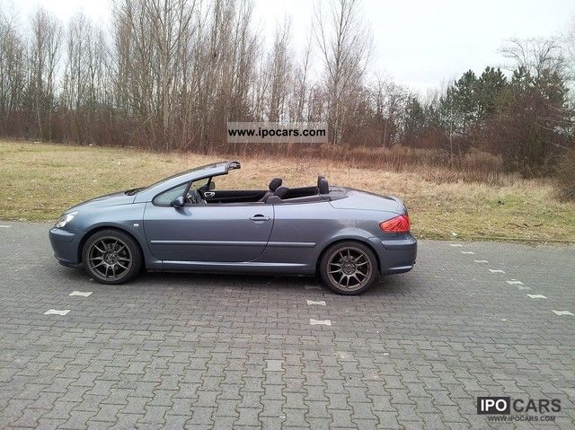 Manual Peugeot 307 Cc 2005