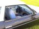 1974 Oldsmobile  Cutlass Sports car/Coupe Classic Vehicle photo 3