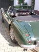 1956 Austin Healey  BN4 100/6 Cabrio / roadster Classic Vehicle photo 2