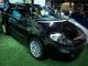 2012 Fiat  Punto to 32% discount from German Vertragsh ... Limousine New vehicle photo 2