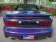 1998 Pontiac  Trans Am / CABRIO / DREAM CAR / LEATHER / NAVI Cabriolet / Roadster Used vehicle photo 5