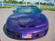 1998 Pontiac  Trans Am / CABRIO / DREAM CAR / LEATHER / NAVI Cabriolet / Roadster Used vehicle photo 7