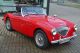Austin Healey  BN 1 2.6 Cabriolet 1954 Used vehicle photo