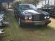 Bentley  S Continental Mulliner - 1 of 18 - LHD 1995 Used vehicle photo