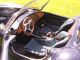 1984 Cobra  Mohr FORD TECHNOLOGY *** *** Cabriolet / Roadster Used vehicle photo 14