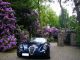 2012 Wiesmann  MF 3 Cabriolet / Roadster Used vehicle (

Accident-free ) photo 8