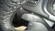 2012 Skoda  Fabia RS 1.4 TSI 180 hp NAVI warranty until 21.02. Small Car Used vehicle (

Accident-free ) photo 9