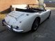 1964 Austin Healey  Healey 3000 MK3 BJ8 1964 overdrive good driver Cabriolet / Roadster Classic Vehicle photo 1