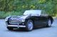 2012 Austin Healey  3000 bt7 tri carb Sports Car/Coupe Used vehicle (

Accident-free ) photo 1
