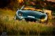 TVR  Griffith 5.0i 2012 Used vehicle (

Accident-free ) photo
