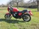 2001 Triumph  T 309 RT Other Used vehicle (

Accident-free ) photo 2