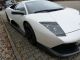 2008 Lamborghini  LP680 GT. E-Gear carbon package 680PS Sports Car/Coupe Used vehicle photo 5