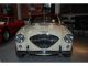 1955 Austin  Healey 100 M Cabriolet / Roadster Used vehicle photo 3