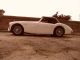 1957 Austin  Healey 100/6 Cabriolet / Roadster Used vehicle photo 1