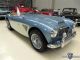 1959 Austin  Healey 100/6 Cabriolet / Roadster Used vehicle photo 2