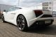 2013 Lamborghini  Gallardo LP560-4 E-Gear FACELIFT CARBON WARRANTY Sports Car/Coupe Used vehicle (
Accident-free ) photo 4
